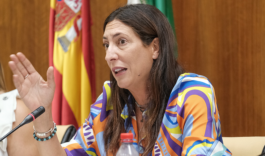 
			      La consejera de Inclusión Social, durante la Comisión en el Parlamento de Andalucía.			    
			  